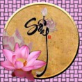 /album/thu-vi%e1%bb%87n-%e1%ba%a3nh/z12-jpg/